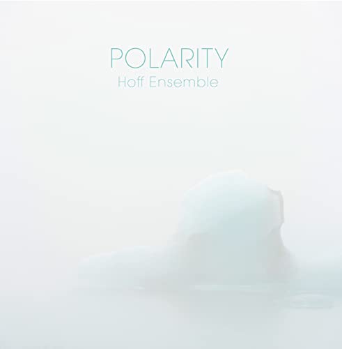 POLARITY - an acoustic jazz project [Vinyl LP] von 2l (Naxos Deutschland Musik & Video Vertriebs-)