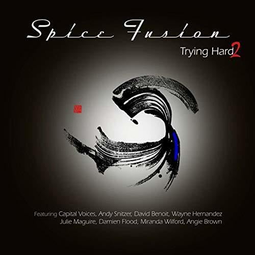 Trying Hard 2 [Vinyl LP] von 33 Jazz