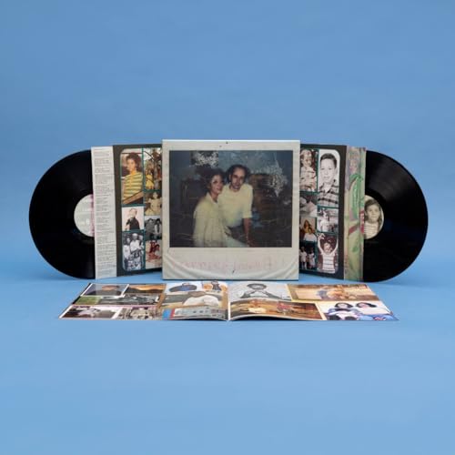 Carrie & Lowell (10th Anniversary Edition) [Vinyl LP] von 375 Media