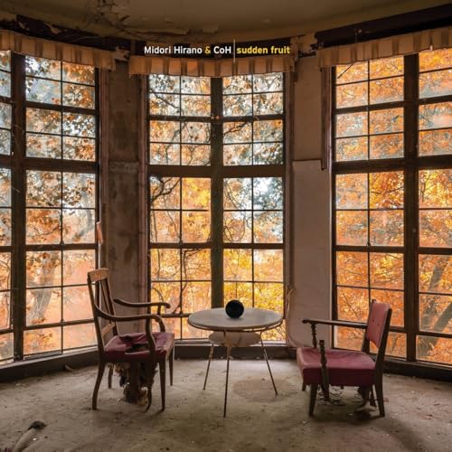 Sudden Fruit [Vinyl LP] von 375 Media