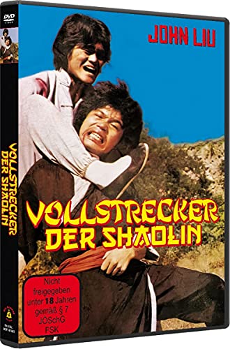 Vollstrecker der Shaolin von 375 Media