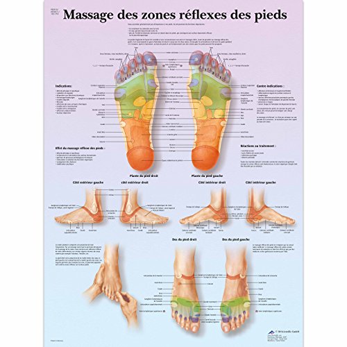 3B Scientific – Board, 1 von 3B Scientific