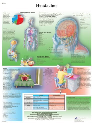 3B Scientific Human Anatomy – Kopfschmerzen-Diagramm, laminierte Version von 3B Scientific