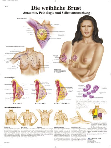 3B Scientific Lehrtafel - Die weibliche Brust - Anatomie, Pathologie und Selbstuntersuchung von 3B Scientific