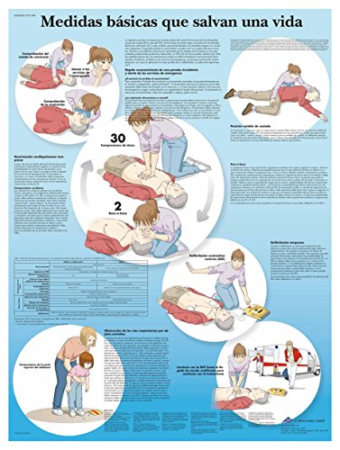 3B Scientific Lehrtafel - Medidas básicas que salvan una vida - Spanisch von 3B Scientific