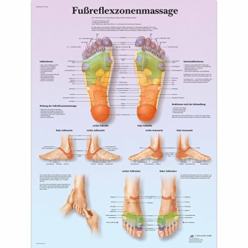 3B Scientific Lehrtafel laminiert - Fußreflexzonenmassage, 50 x 67 cm 3B Scientific Lehrtafel laminiert - Fußreflexzonenmassage, 50 x 67 cm von 3B Scientific