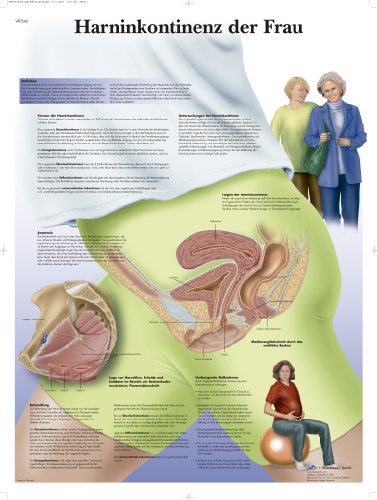 3B Scientific Lehrtafel laminiert - Harninkontinenz der Frau 3B Scientific Lehrtafel laminiert - Harninkontinenz der Frau von 3B Scientific