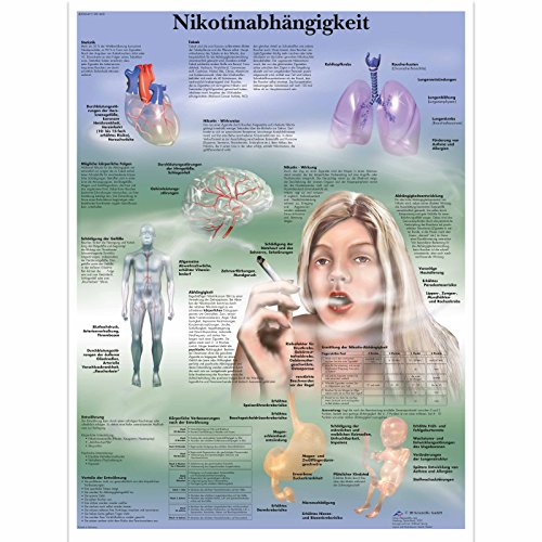 3B Scientific Lehrtafel laminiert - Nikotinabhängigkeit 3B Scientific Lehrtafel laminiert - Nikotinabhängigkeit von 3B Scientific