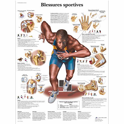 3B Scientific Lehrtaffel - Blessures sportives - Französisch von 3B Scientific