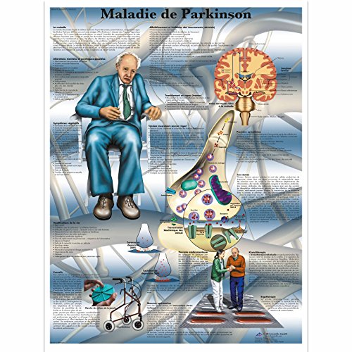 3B Scientific Lehrtaffel - Maladie de Parkinson - Französisch von 3B Scientific