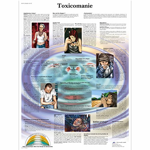 3B Scientific Lehrtaffel - Toxicomanie Chart - Französisch von 3B Scientific