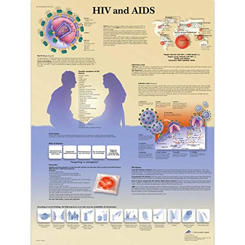 3B Scientific Lehrtaffel laminiert - HIV and AIDS - Englisch von 3B Scientific