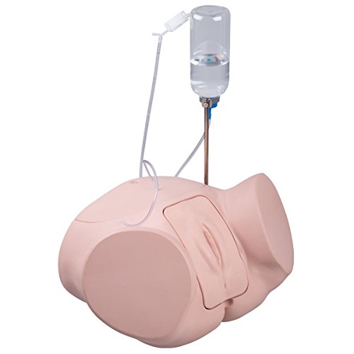 3B Scientific P93P-F Katheterisierungssimulator PRO, weiblich von 3B Scientific