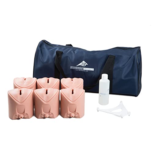 3B Scientific P94 Geburtsstadien-Trainer 3B Scientific P94 Geburtsstadien-Trainer von 3B Scientific