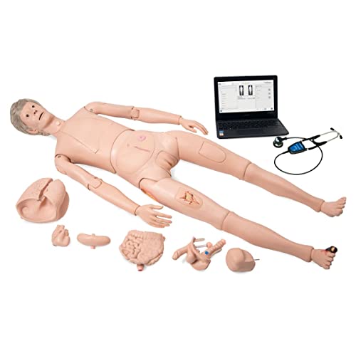 3B Scientific Plegetrainingspuppe mit Auskultation – Nikki – erwachsen, lebensgroß von 3B Scientific