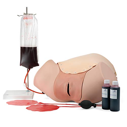 3B Scientific Postpartum Hemorrhage Trainer - PPH Trainer P97 von 3B Scientific