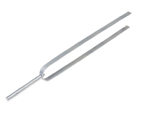 3B Scientific U55001 Demonstrationsstimmgabel von 3B Scientific