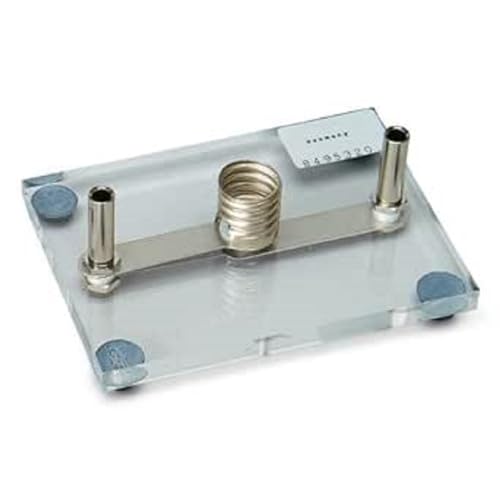 3B Scientific U8495320 Lampenfassung E14 auf Acrylglassockel von 3B Scientific