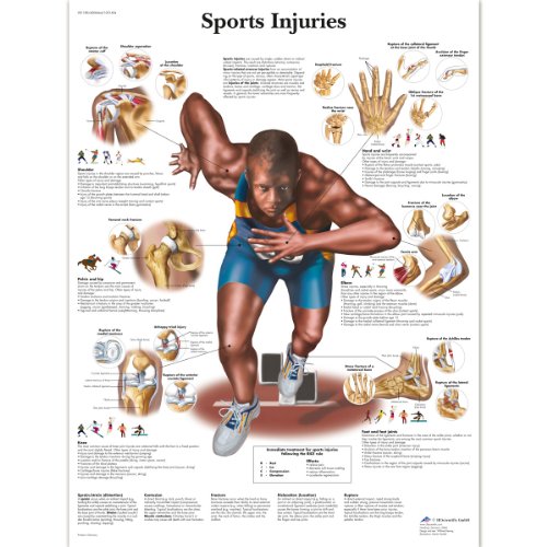 3B Scientific VR1188L Anatomie des Menschen – Schaubild der Sportverletzungen, laminierte Version von 3B Scientific