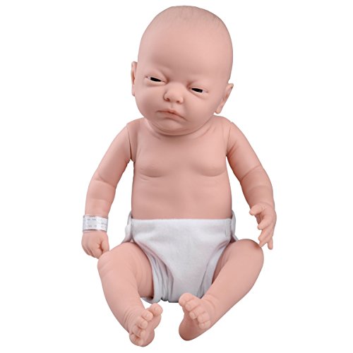 3B Scientific W17001 Babypflegemodell, weiblich, kaukasisch von 3B Scientific