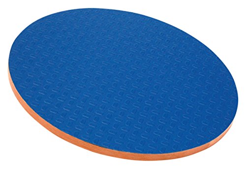 3B Scientific rundes Balance Board, Balancierbrett, Wackelbrett zur Förderung der Propriozeption 3B Scientific rundes Balance Board, Balancierbrett, Wackelbrett zur Förderung der Propriozeption von 3B Scientific