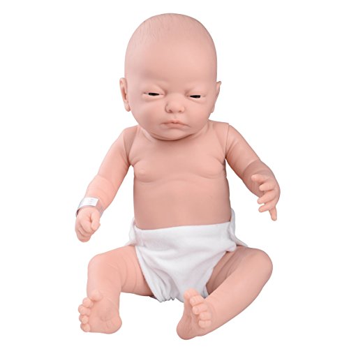 Belonil Baby - Pflegemodell W17000 , männlich von 3B Scientific