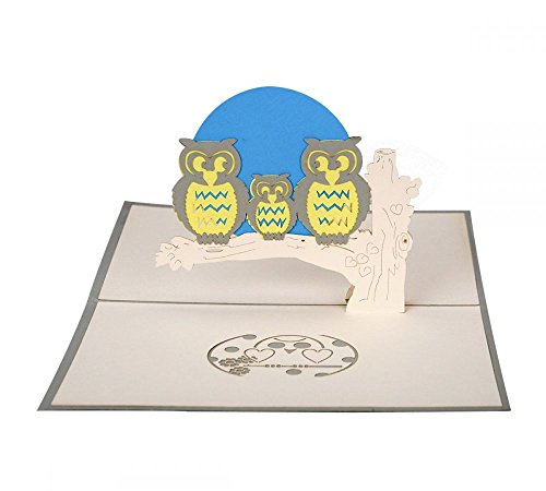 Eulen - 3D Karte/Pop-Up Karte/Grußkarte/Geburtstagskarte von 3D Kartenwelt