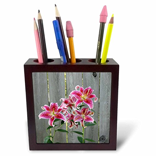 3dRose 228229 _ PH 1, 2, 5, Die "Stargazer Lily von Rustic, Kachel mit Halter von 3dRose
