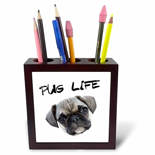 3dRose 236322 _ PH 1, 2, 5 " Pug Life Cute Pug Welpe auf der Kamera-Platte mit Halter von 3dRose