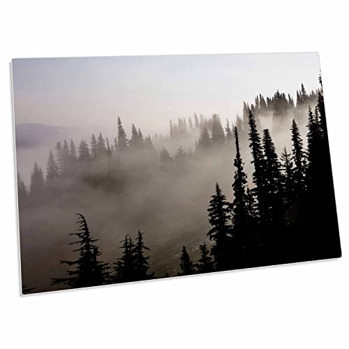 3dRose - British Columbia, Whistler Mountain Forest – CN02 MFR0031 – MFR – Schreibtischunterlage – (dpd-135032-1) von 3dRose