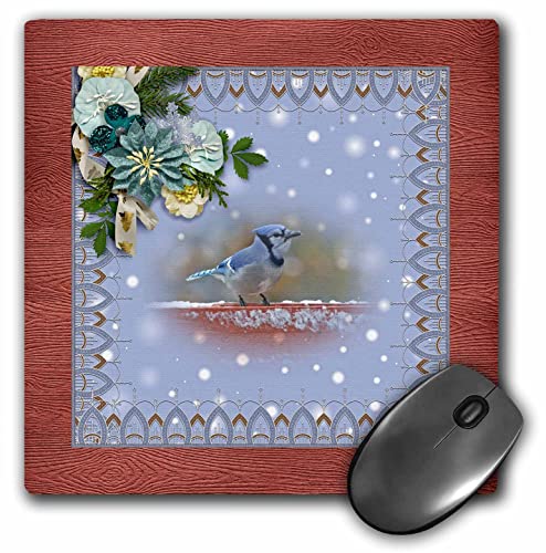 3dRose - Foto von Blue Jay im Schnee, Flora-Design, Terrakotta-Rahmen – Mauspad – (mp-353686-1) von 3dRose