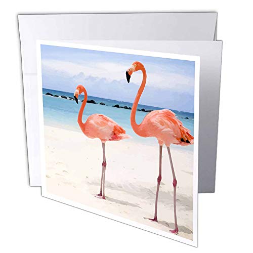 3dRose gc_20551_1 Grußkarte "Flamingo Honeymoon", 15,2 x 15,2 cm, 6 Stück von 3dRose