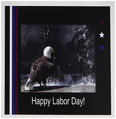 3drose Labor Day, Eagle by Wasserfall, – Grußkarten, 6 von Foto, Set 12 (GC 40492 _ 2) von 3dRose