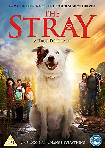 The Stray (DVD) [2018] von 4Digital Media