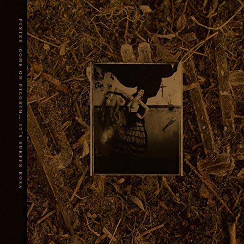 Come on Pilgrim-It'S Surfer Rosa [Vinyl LP] von 4ad