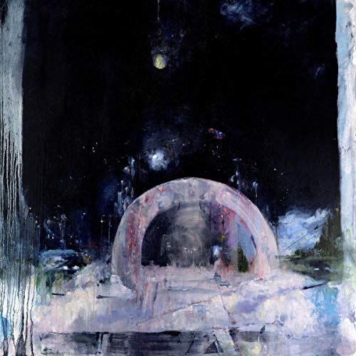 Not to Disappaer [Vinyl LP] von 4ad