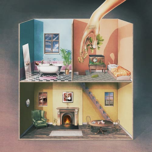 Small Mercies [Vinyl LP] von 4ad