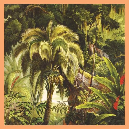 La Foret [Vinyl LP] von 5RC