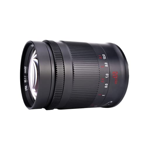 7artisans 50 mm f1.05 große Blende Vollrahmen manueller Fokus Objektiv kompatibel mit Nikon Z Mount Z50 Z7 Z6 Kameras 7artisans 50 mm f1.05 große Blende Vollrahmen manueller Fokus Objektiv kompatibel mit Nikon Z Mount Z50 Z7 Z6 Kameras von 7artisans