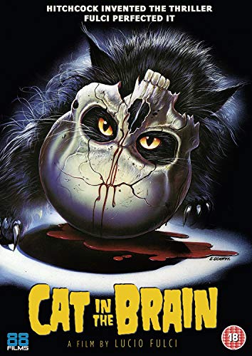 Dvd - A Cat In The Brain [Edizione: Regno Unito] (1 DVD) von 88 Films