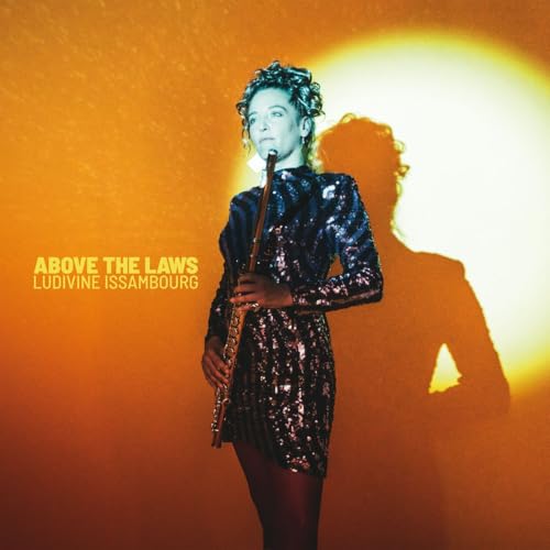 Above The Laws (180Gr.) [Vinyl LP] von 99999 (Broken Silence)