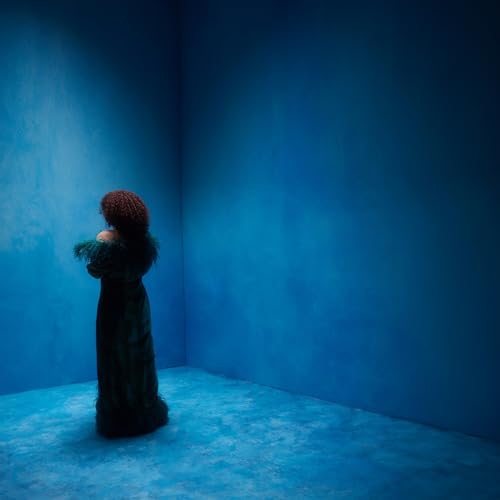 Onze (Clear Blue Vinyl) [Vinyl LP] von 99999 (Broken Silence)