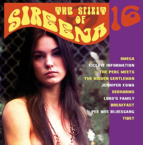 Spirit Of Sireena Vol. 16 von Sireena Records