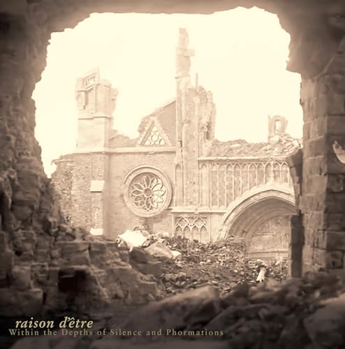 Within The Depths Of Silence And Phormations [Vinyl LP] von 99999 (Broken Silence)