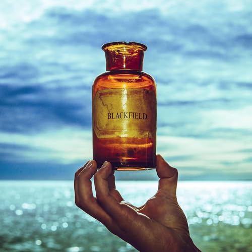 Blackfield V (Black Vinyl) [Vinyl LP] von 99999 (edel)