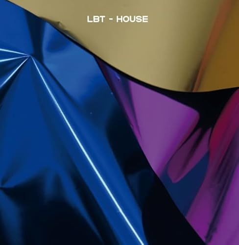 House (10") [Vinyl Single] von 99999 (edel)