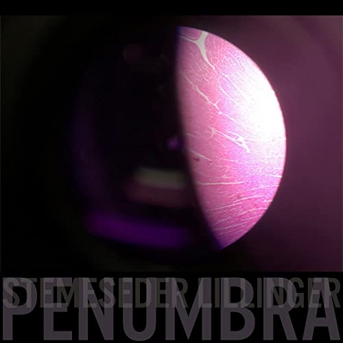 Penumbra (Lp) [Vinyl LP] von 99999 (edel)