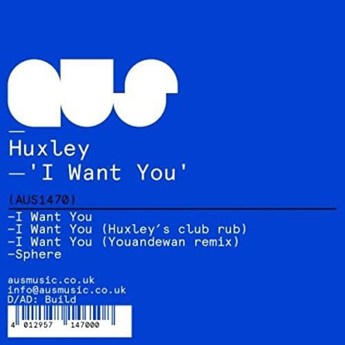 I Want You (Youandewan Remix) [Vinyl Maxi-Single] von 99999 (rough trade)