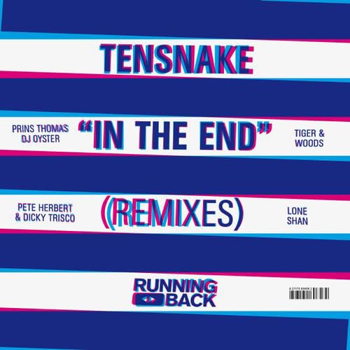 In the End (2x12''/Remixes) [Vinyl Maxi-Single] von 99999 (rough trade)