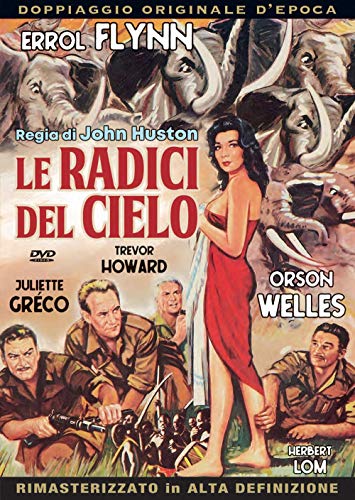 FLYNN,GR�CO,HOWARD - LE RADICI DEL CIELO (1958) (1 DVD) von A E R PRODUCTIONS